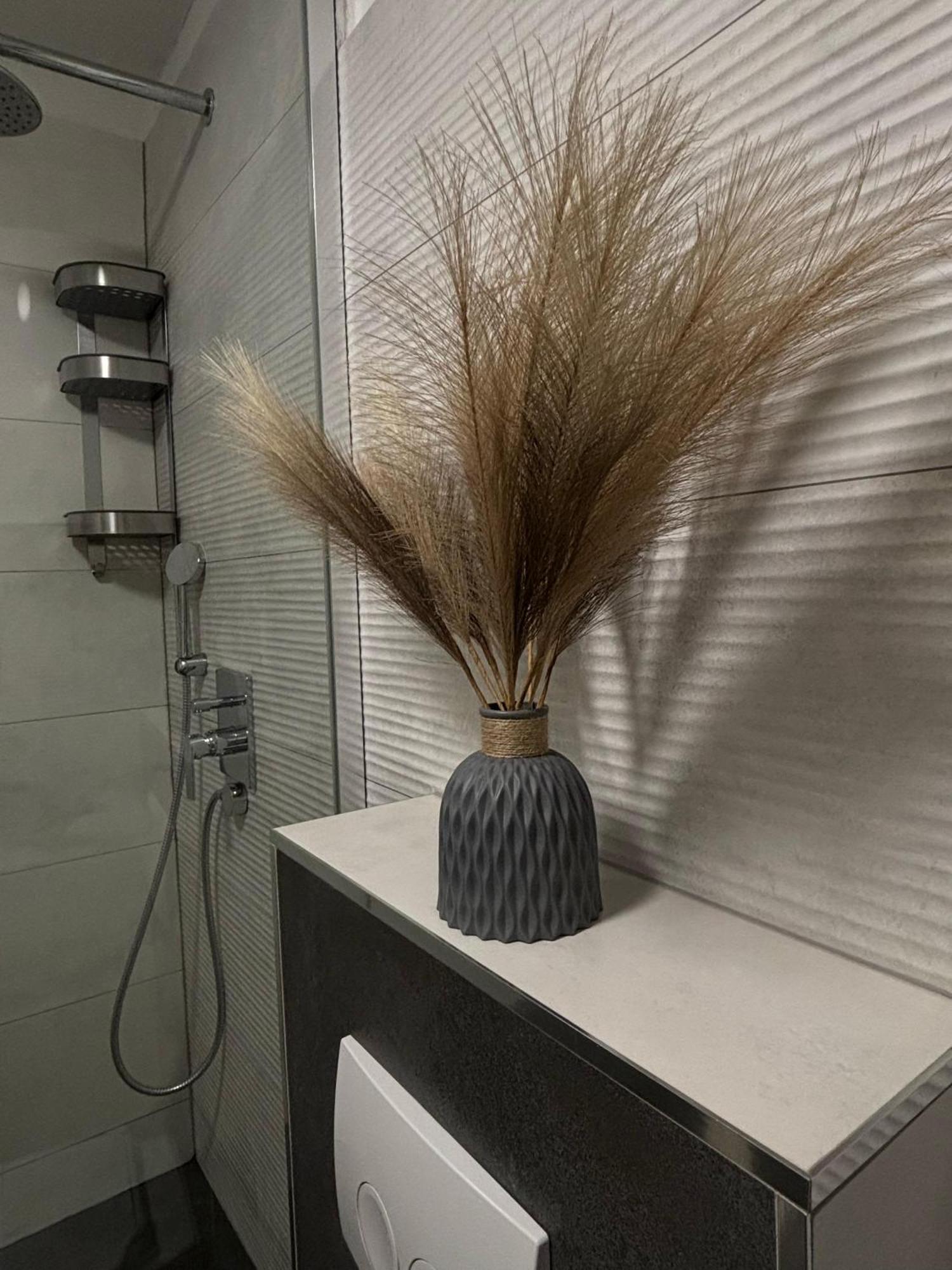 Palace Luxury Room 斯普利特 外观 照片